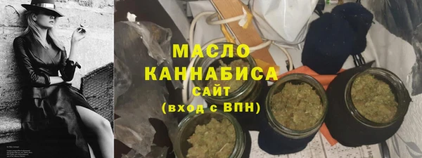 молекула духа Богородицк