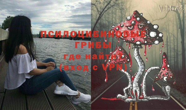молекула духа Богородицк