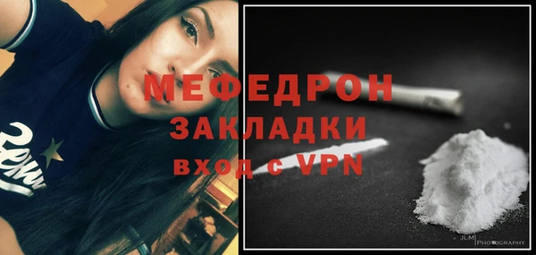 молекула духа Богородицк