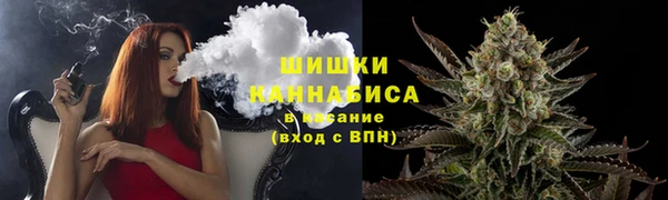 молекула духа Богородицк