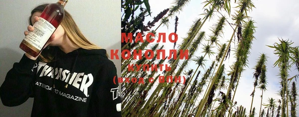 молекула духа Богородицк
