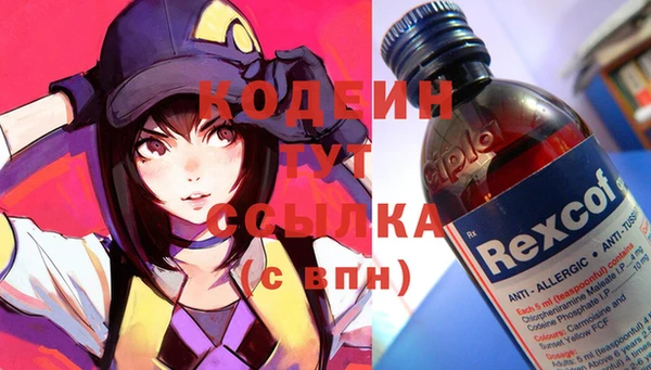 молекула духа Богородицк