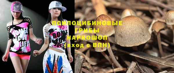 МДПВ Богданович