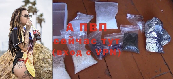 молекула духа Богородицк