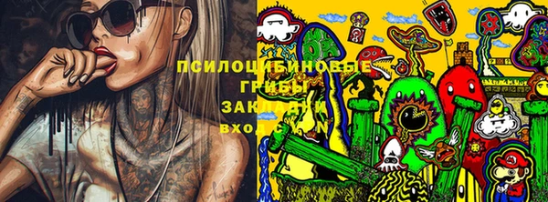 МДПВ Богданович