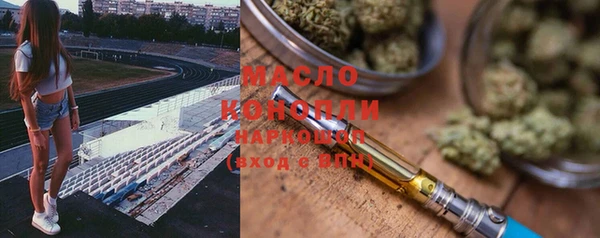 молекула духа Богородицк