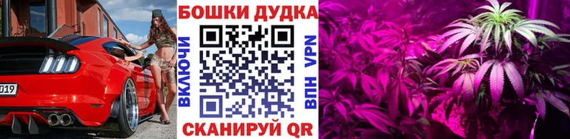 Бошки марихуана ГИДРОПОН  цены   Мичуринск 